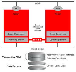 Oracle cluster RAC